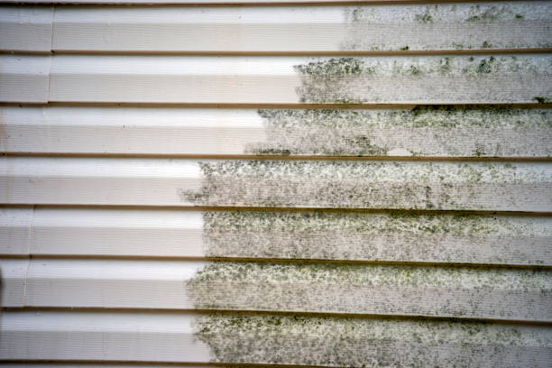 Best Storm Damage Siding Repair  in Cambridge City, IN